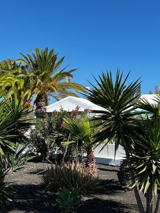 Lovely Casita Jade Playa Blanca  Zewnętrze zdjęcie
